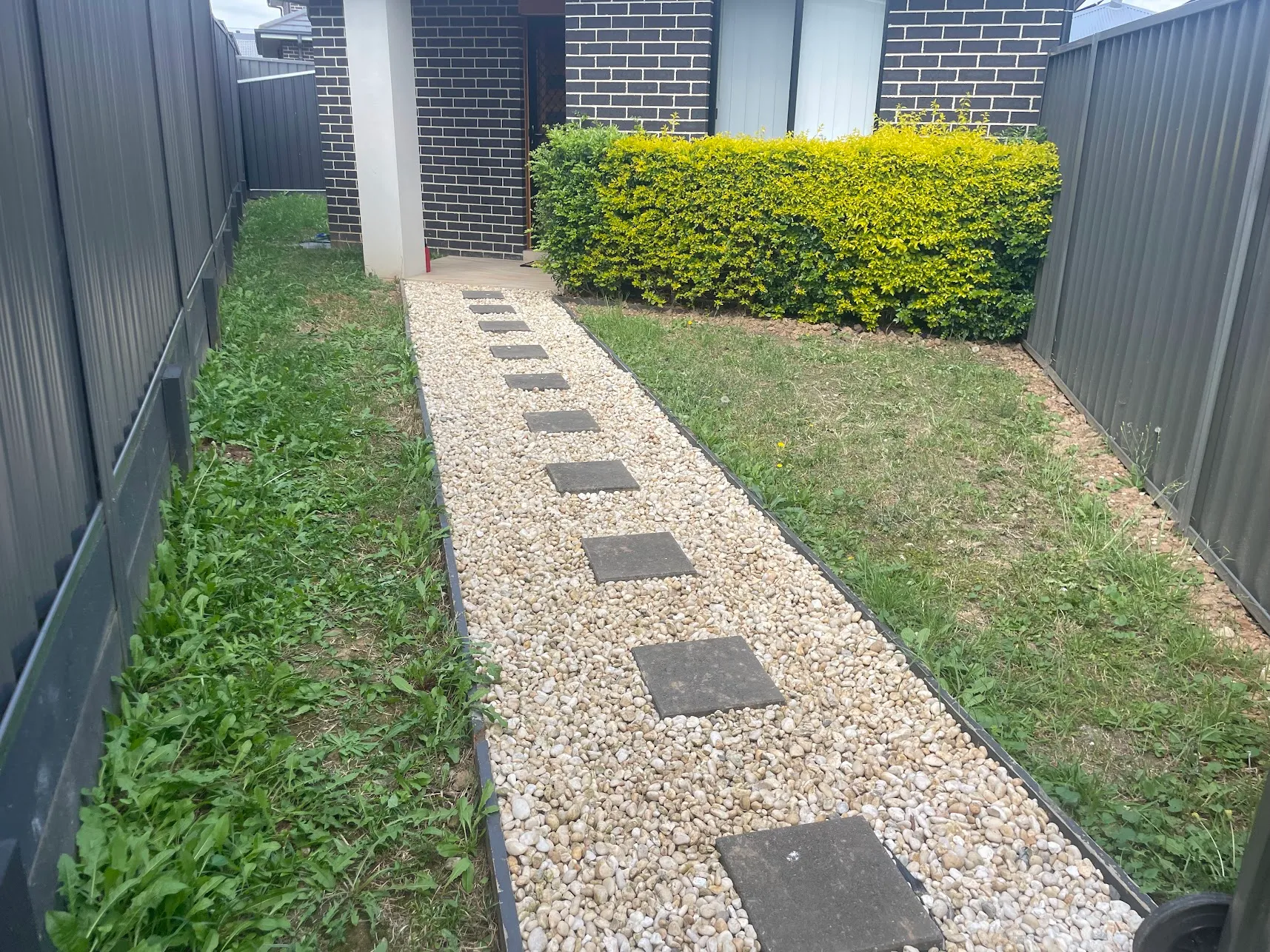 Before landscaping project
