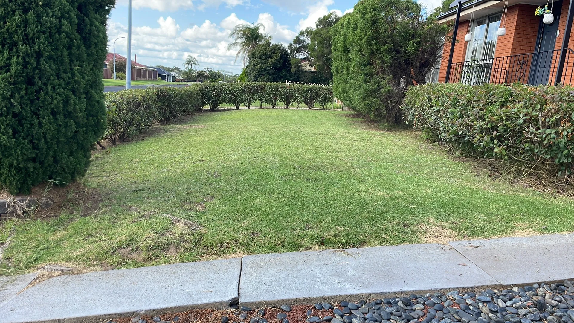 Before fencing project